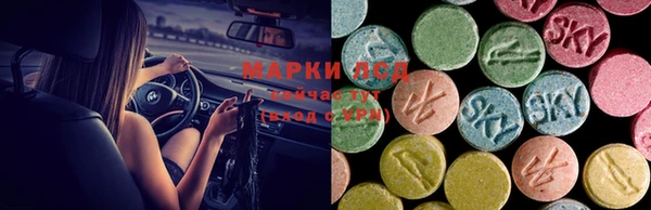 трава Абаза
