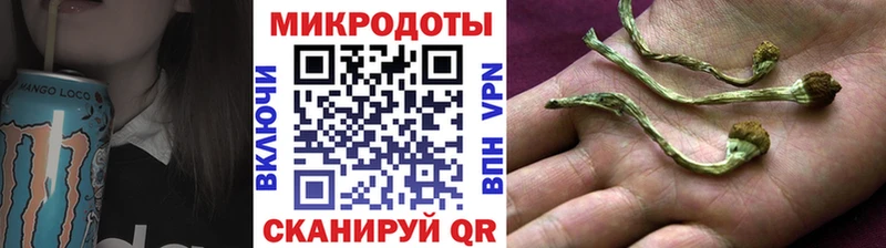 Псилоцибиновые грибы Psilocybine cubensis  Галич 